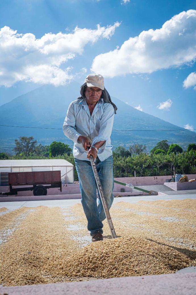 Guatemala Antigua Hunapu Washed Process